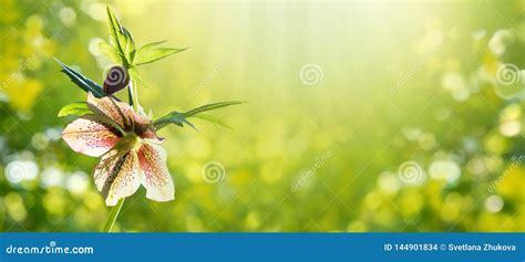 新沂地區(qū)游戲工作室合作指南 聚焦蘋果策略類手游與互聯(lián)網(wǎng)信息服務(wù)